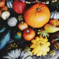 Variedad de tipos de calabacita y calabazas en diferentes tamaños y colores 