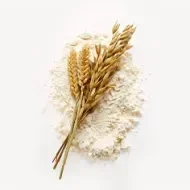 Trigo en varias formas una de las bases de la comida mapuche