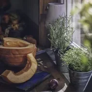 Cortar calabazas frescas para asar en el horno bule.