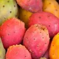 Xoxonostle para que sirve este alimento.