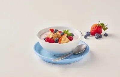 Bowl de yogurt con cereal Bowl de yogurt con cereal