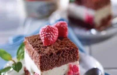 sandwch helado sandwch helado