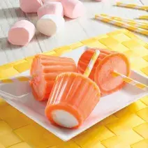 Paletas heladas de naranja y bombón