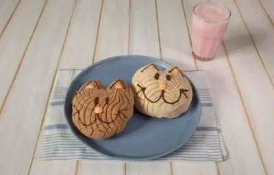 Michi conchas