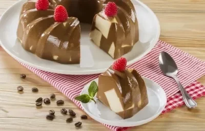 gelatina moka de mosaico deslactosada gelatina moka de mosaico deslactosada
