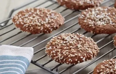 galletas de amaranto y cocoa deslactosadas galletas de amaranto y cocoa deslactosadas