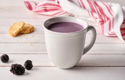 ATOLE de ZARZAMORA preparado con Alimento en Polvo CARNATION® CLAVEL® ATOLE de ZARZAMORA preparado con Alimento en Polvo CARNATION® CLAVEL®