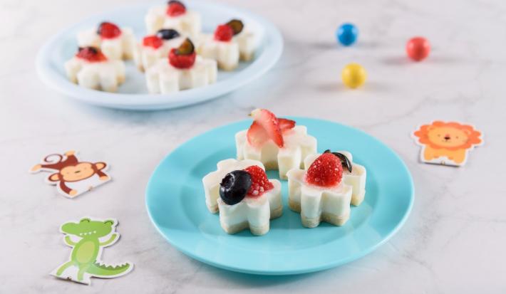 Yogurt Snack