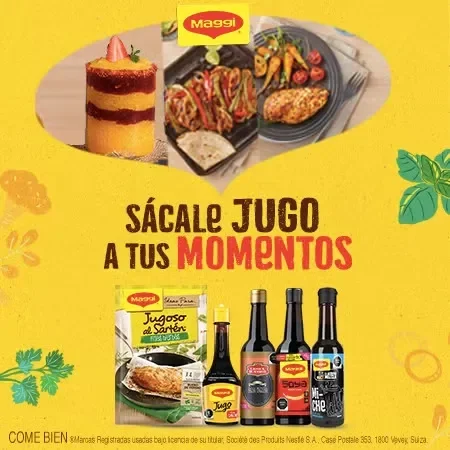 Banner productos MAGGI