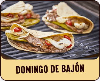 Domingo de Bajón